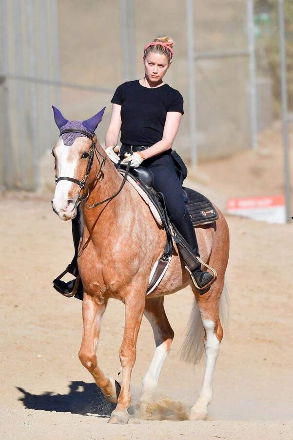 女明星骑马花絮,优雅与挑战并存